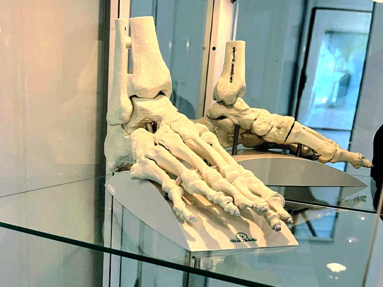 Podologie-Troisdorf-05